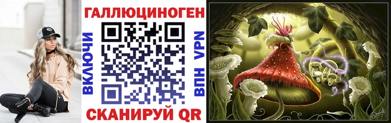 Галлюциногенные грибы Cubensis  цены наркотик  Пушкино 