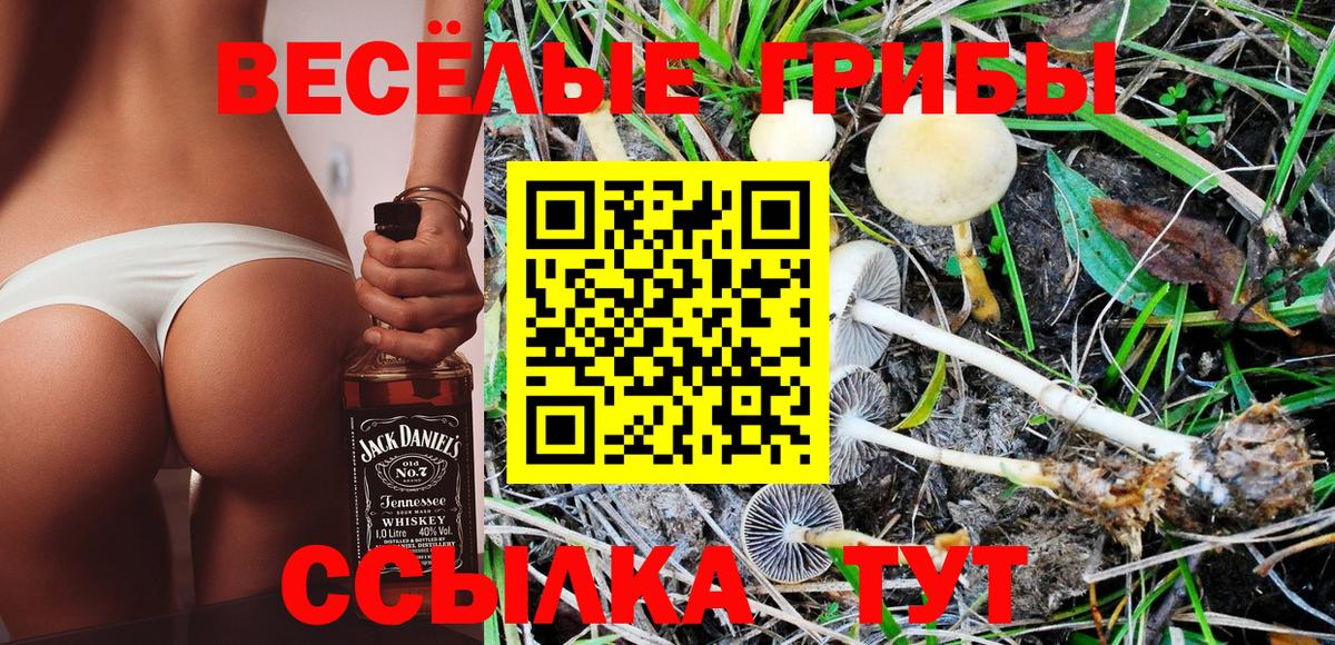 Пушкино  Галлюциногенные грибы ЛСД  Вход с VPN  Псилоцибиновые грибы Magic Shrooms 